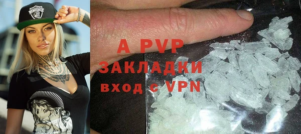 трава Магас
