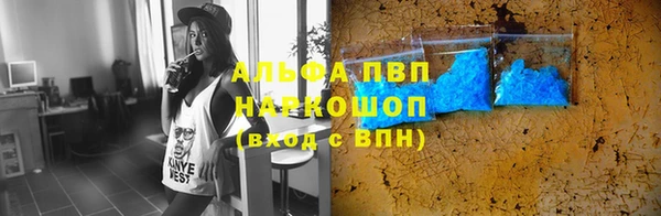 трава Магас