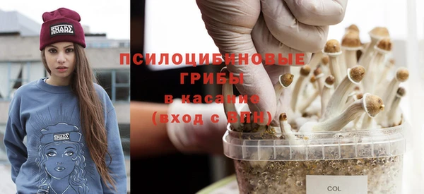 трава Магас