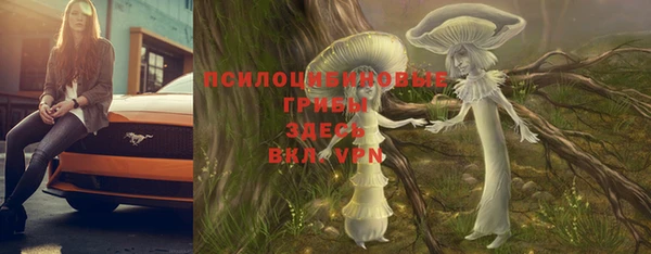 трава Магас