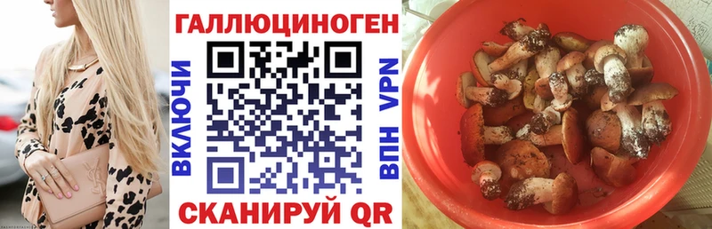 купить наркотики сайты Цивильск Псилоцибиновые грибы прущие грибы